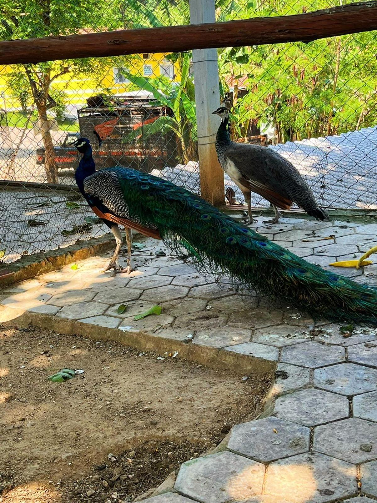 Pousada Jovimar Aparecida  Luaran gambar